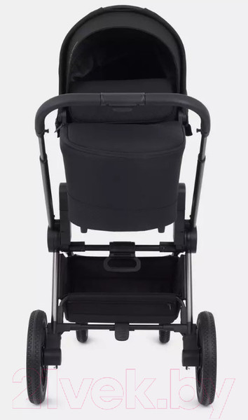 Изображение товара Детская универсальная коляска Rant Flex Pro 2 в 1 2023 / RA074 (черный)