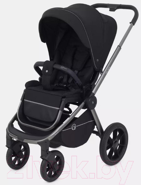 Изображение товара Детская универсальная коляска Rant Flex Pro 2 в 1 2023 / RA074 (черный)