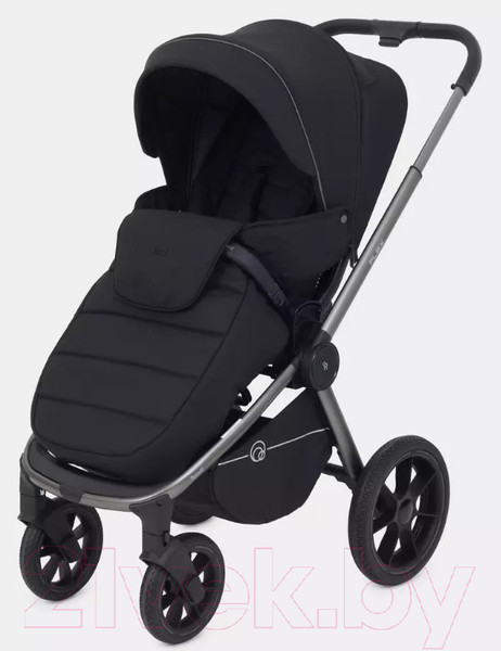 Изображение товара Детская универсальная коляска Rant Flex Pro 2 в 1 2023 / RA074 (черный)