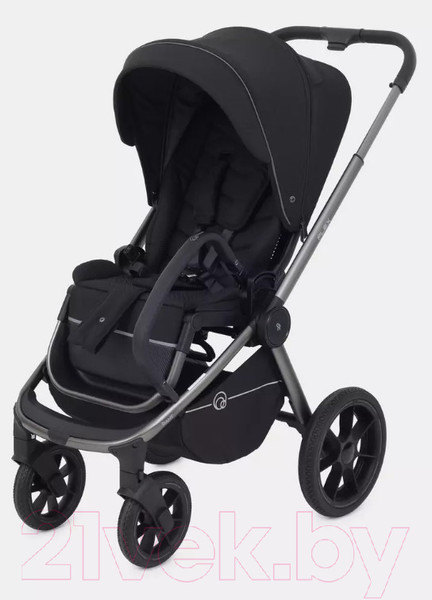 Изображение товара Детская универсальная коляска Rant Flex Pro 2 в 1 2023 / RA074 (черный)