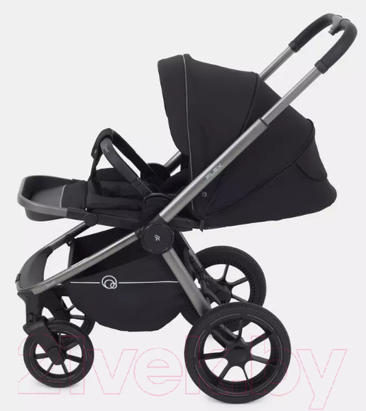Изображение товара Детская универсальная коляска Rant Flex Pro 2 в 1 2023 / RA074 (черный)