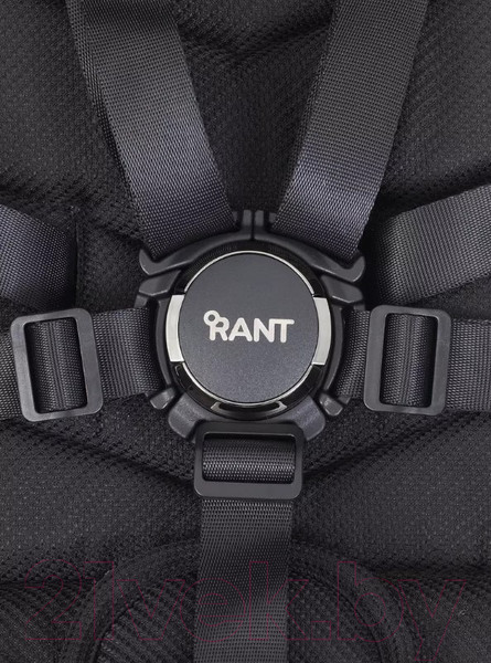 Изображение товара Детская универсальная коляска Rant Flex Pro 2 в 1 2023 / RA074 (черный)