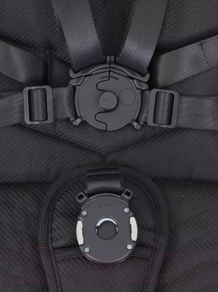 Изображение товара Детская универсальная коляска Rant Flex Pro 2 в 1 2023 / RA074 (черный)