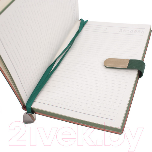 Изображение товара Ежедневник Darvish DV-14225-4 (зеленый)