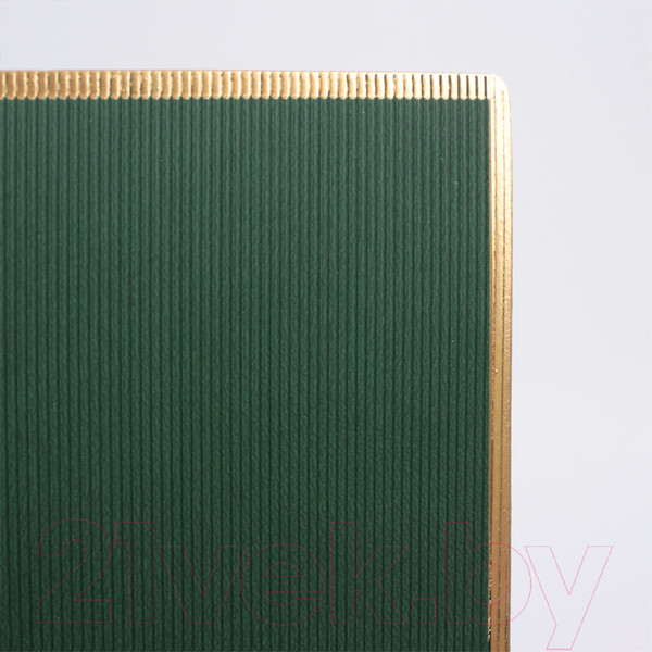 Изображение товара Ежедневник Darvish DV-14225-4 (зеленый)