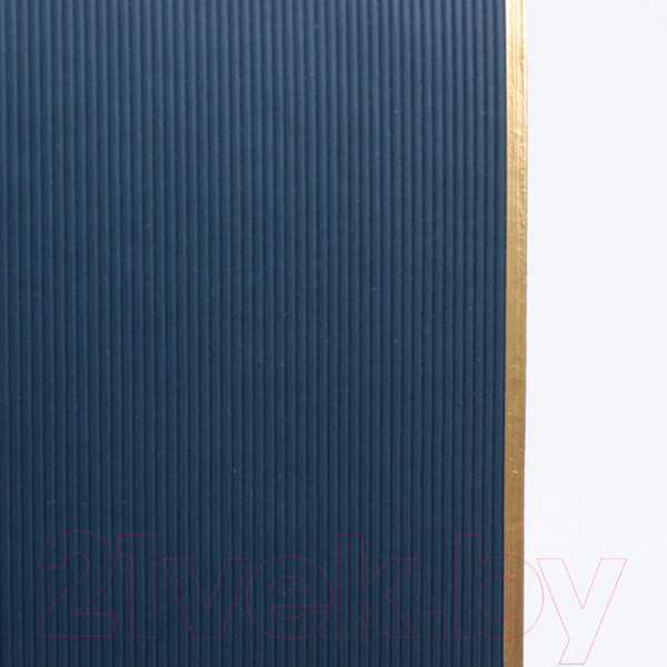 Изображение товара Ежедневник Darvish DV-14225-3 (синий)