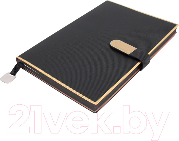 Изображение товара Ежедневник Darvish DV-14225-2 (черный)