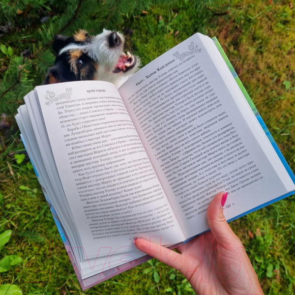 Изображение товара Книга Эксмо Мирт. Холмы Каледонии (Руднева М.С.)