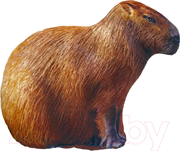 Изображение товара Мягкая игрушка Malvina Капибара / 19.15.1