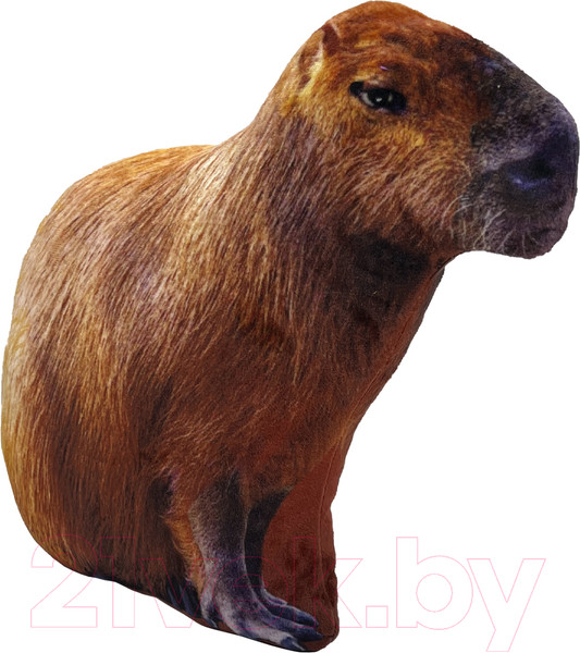 Изображение товара Мягкая игрушка Malvina Капибара / 19.15.1