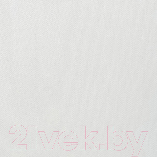 Изображение товара Набор бумаги для рисования Малевичъ Veroneze / 402216 (25л)