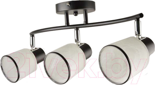 Изображение товара Потолочный светильник Mirastyle BL-14854/3 BK+CR