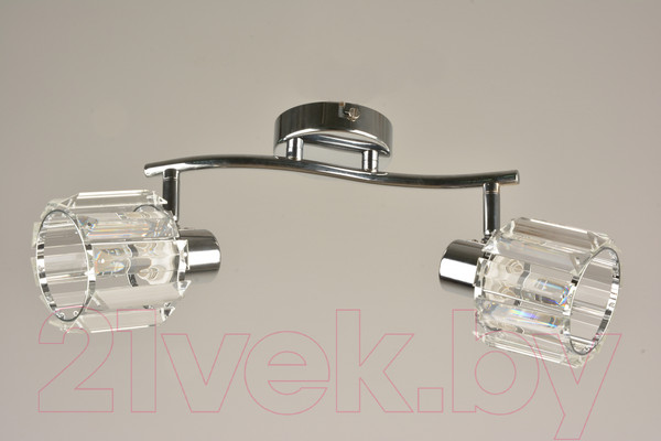 Изображение товара Потолочный светильник Mirastyle BL-15000/2 CR