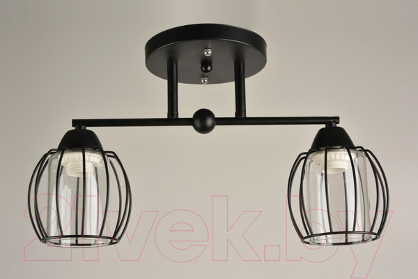 Изображение товара Потолочный светильник Mirastyle BL-15158/2 BK