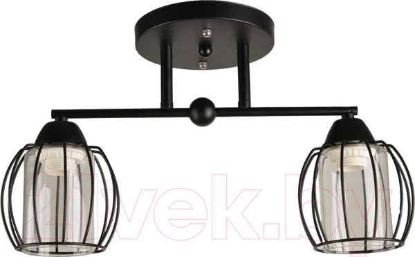 Изображение товара Потолочный светильник Mirastyle BL-15158/2 BK