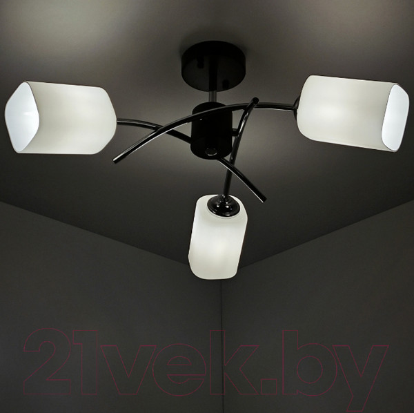 Изображение товара Потолочный светильник Mirastyle BL-6794/3 BK