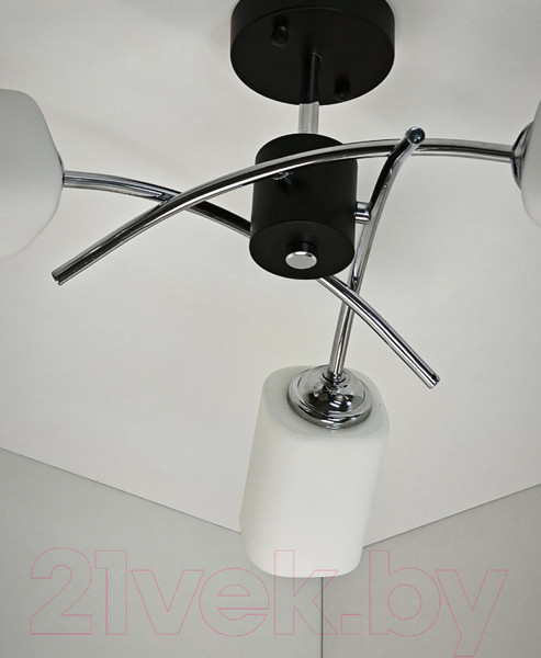 Изображение товара Потолочный светильник Mirastyle BL-6794/3 BK
