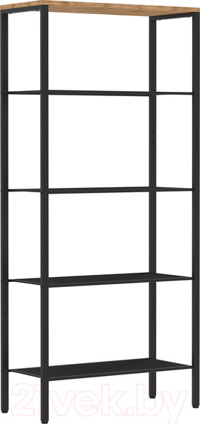 Изображение товара Стеллаж ЗМИ Торонто 25 / СТТ25 (черный)