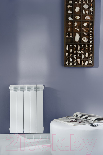 Изображение товара Радиатор алюминиевый Nova Florida Big D3 500/100 White (2 секции)