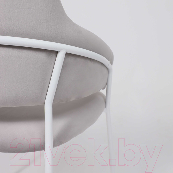 Изображение товара Стул Алвест AV 448 (светло-серый бархат H-09/белый)