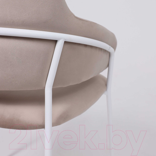 Изображение товара Стул Алвест AV 448 (серо-бежевый бархат H-08/белый)