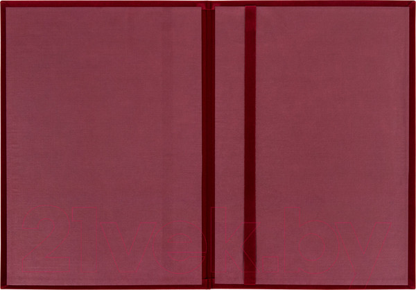 Изображение товара Папка адресная Staff 124294 (бордовый)