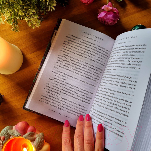 Изображение товара Книга Like Book Ежевика в долине. Король под горой (Гурова М.)