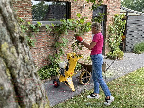 Изображение товара Садовый измельчитель электрический Jo Beau M100 / 001341