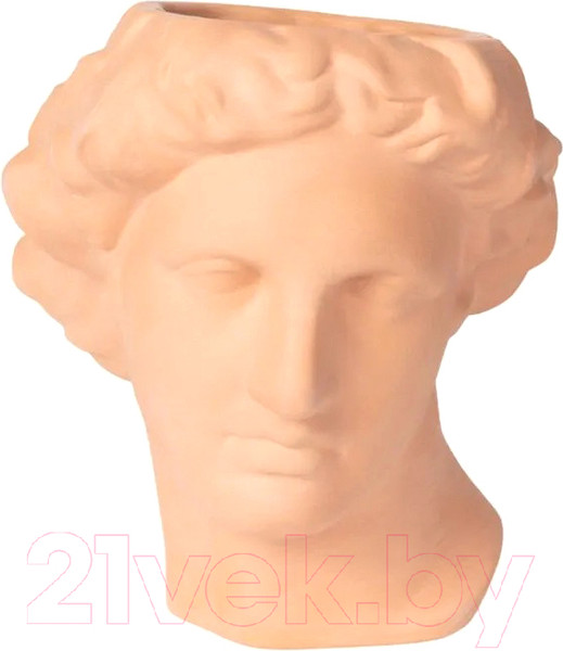 Изображение товара Ваза Doiy Apollo / DYVASEAPOT (терракотовый)