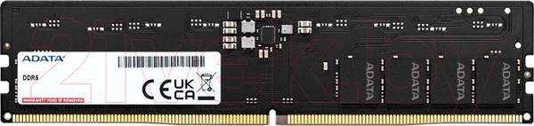 Изображение товара Оперативная память DDR5 A-data AD5U56008G-S