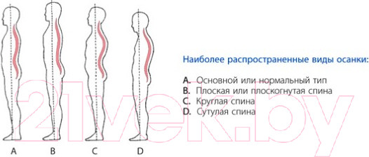 Изображение товара Корректор осанки Польза 0506 (р.1, бежевый)
