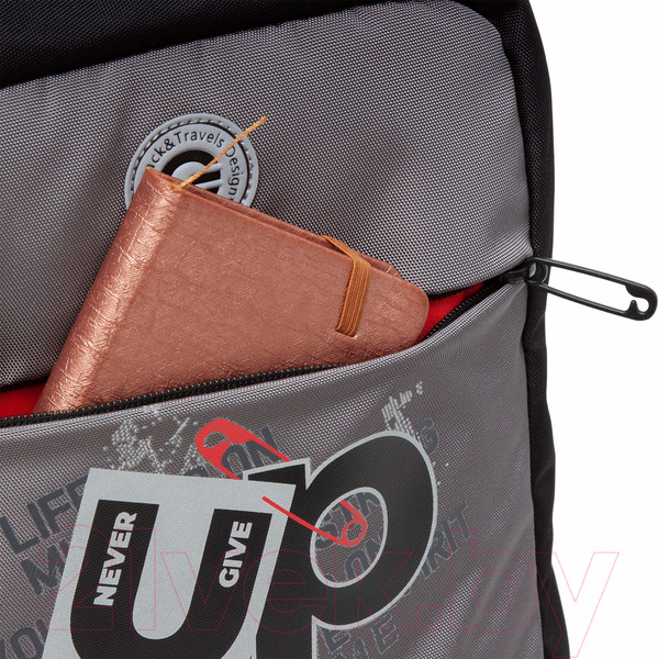 Изображение товара Школьный рюкзак Grizzly RB-456-3 (черный/серый)