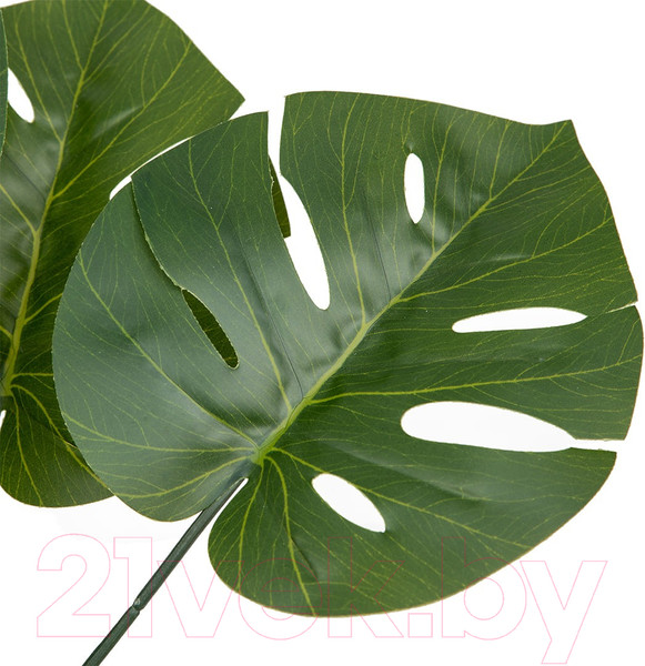 Изображение товара Искусственное растение Вещицы Монстера Mia10