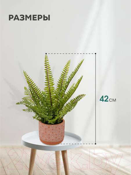 Изображение товара Искусственное растение Вещицы Папоротник Mia12
