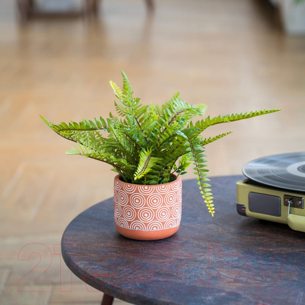 Изображение товара Искусственное растение Вещицы Папоротник Mia12