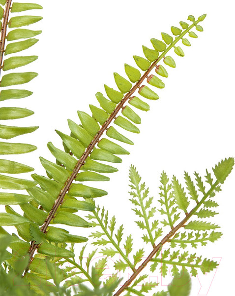 Изображение товара Искусственное растение Вещицы Папоротник Mia12