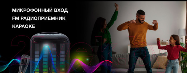 Изображение товара Портативная колонка Hyundai H-MC1204 (черный)