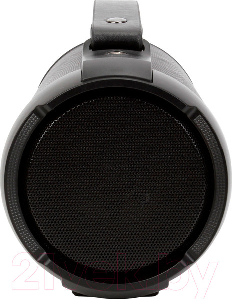 Изображение товара Портативная колонка Digma D-PS1520 (черный)