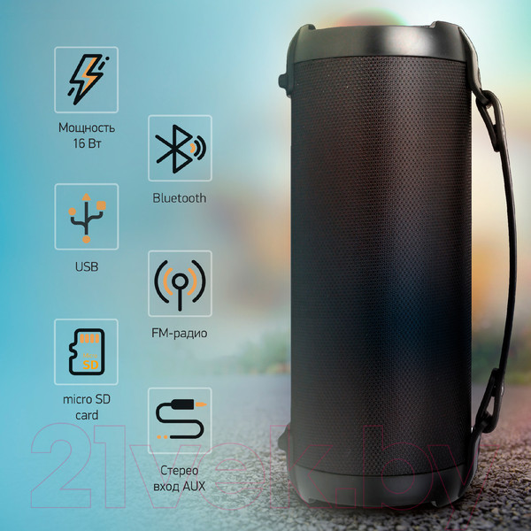 Изображение товара Портативная колонка Digma D-PS1520 (черный)