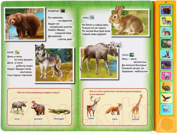 Изображение товара Музыкальная книга Умка Животные (Степанов В.А.)