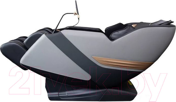 Изображение товара Массажное кресло Richter Smart MS-357 (черный)