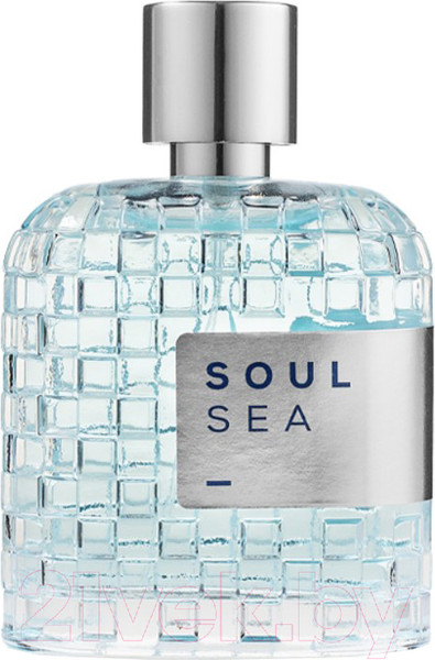 Изображение товара Парфюмерная вода LPDO Soul Sea (100мл)
