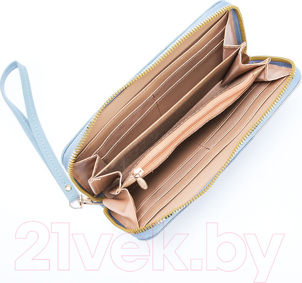 Изображение товара Портмоне Passo Avanti 519-560-BLU (голубой)