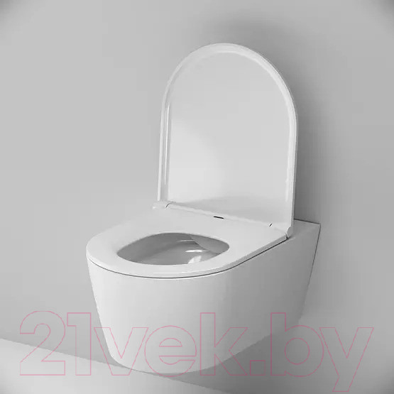 Изображение товара Унитаз подвесной AM.PM Func C8F1700SC