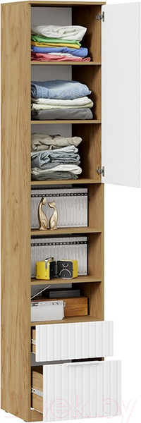 Изображение товара Шкаф-пенал ТриЯ Хилтон комбинированный с 1 дверью и 2 ящиками исп.2 (дуб крафт золотой/белый матовый)