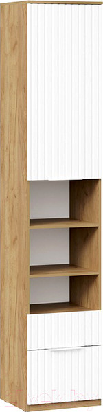 Изображение товара Шкаф-пенал ТриЯ Хилтон комбинированный с 1 дверью и 2 ящиками исп.2 (дуб крафт золотой/белый матовый)