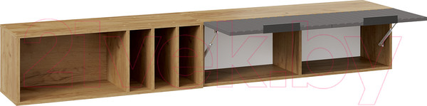 Изображение товара Шкаф навесной ТриЯ Хилтон с полкой 2040 (дуб крафт золотой/графит матовый)