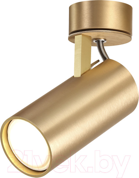 Изображение товара Спот Odeon Light Corse 3876/1C