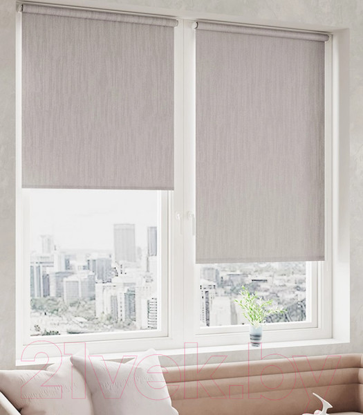 Изображение товара Рулонная штора LEGRAND Сидней 47x175 / 58103837 (муссон)