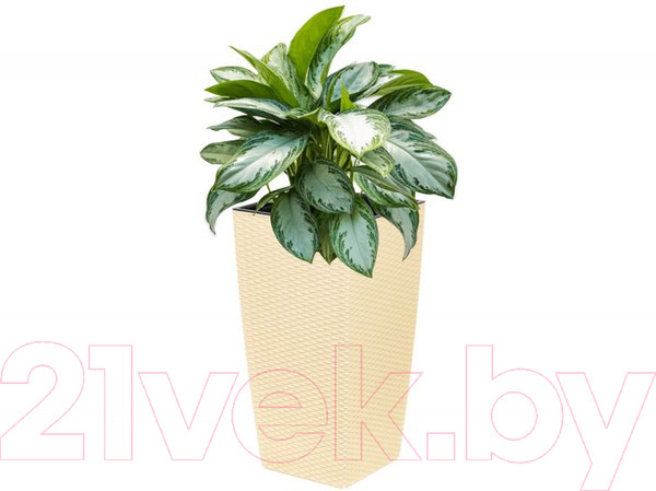 Изображение товара Кашпо El Casa Камелия / 640500 (слоновая кость)